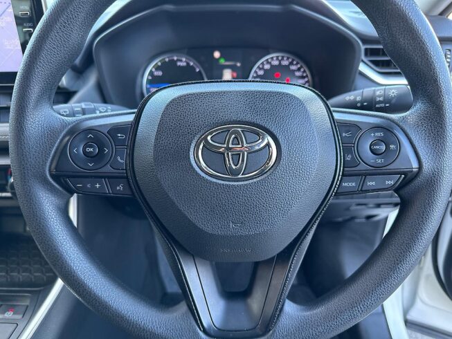 2019 Toyota Rav 4 image 108155