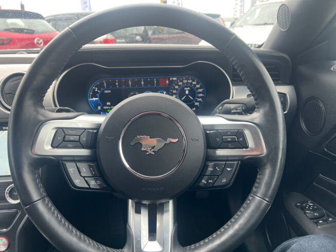 2019 Ford Mustang image 114565