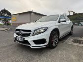 2015 Mercedes-benz Gla 45 GLA45 AMG image 271908