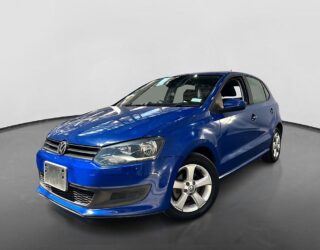 2011 Volkswagen Polo image 134533