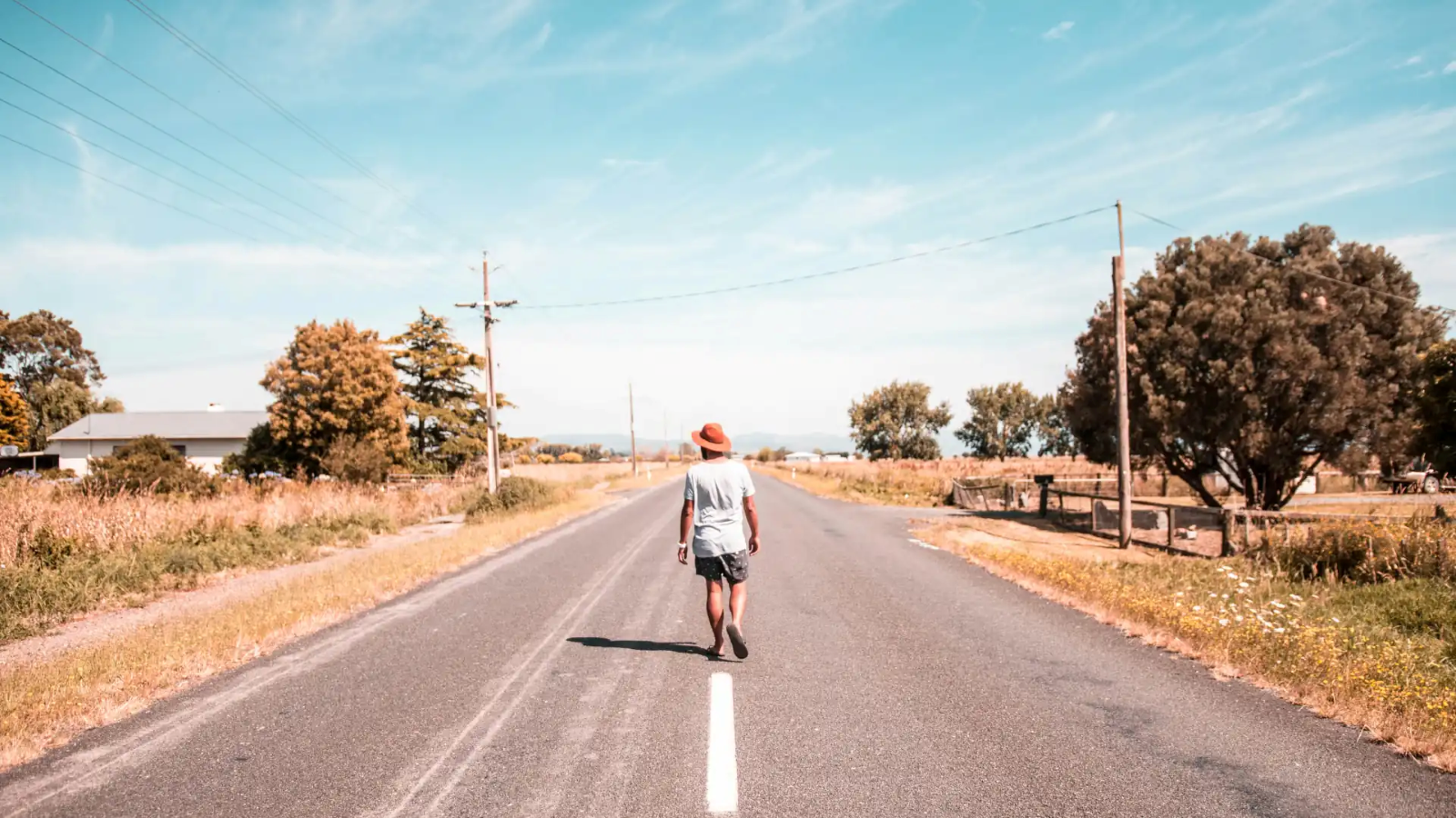 walking down the middle of a rural NZ road