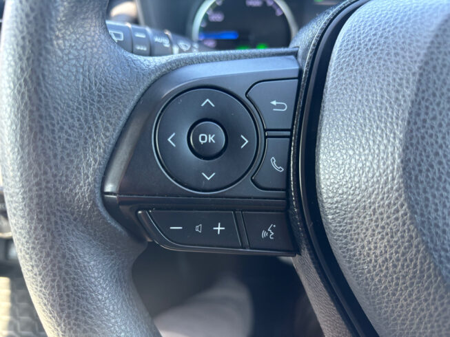 2019 Toyota Rav4 image 222430