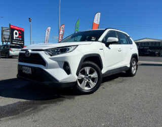 2019 Toyota Rav4 image 222413