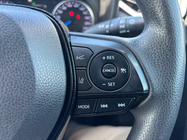 2019 Toyota Rav4 image 222431