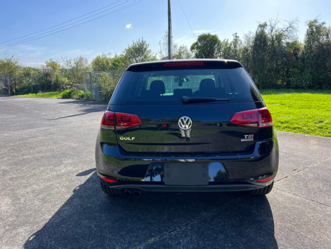 2013 Volkswagen Golf image 175700