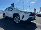 2019 Toyota Rav4 image 222412