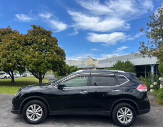 2014 Nissan X-trail image 205046