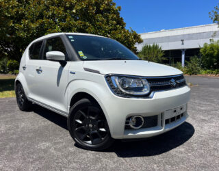 2016 Suzuki Ignis image 206093