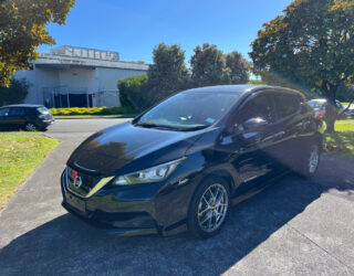 2019 Nissan Leaf image 205147