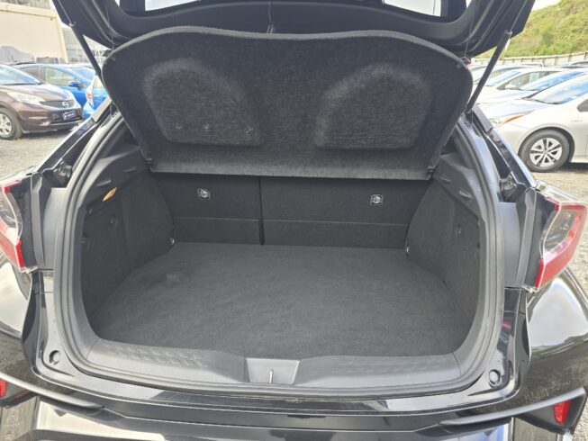 2017 Toyota C-hr image 213692