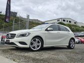 2013 Mercedes-benz A 180 Cruise Control Reversing Camera image 232248