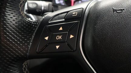 2013 Mercedes-benz A 180 Cruise Control Reversing Camera image 312662