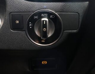 2013 Mercedes-benz A 180 Cruise Control Reversing Camera image 312660