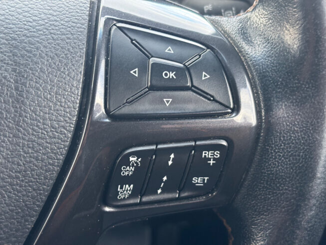 2019 Ford Ranger WILDTRAK 2.0D/4WD image 299840