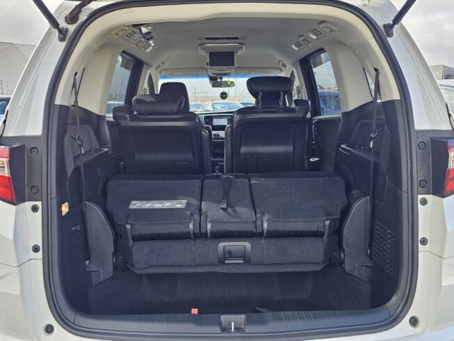 2013 Honda Odyssey Absolute image 300765