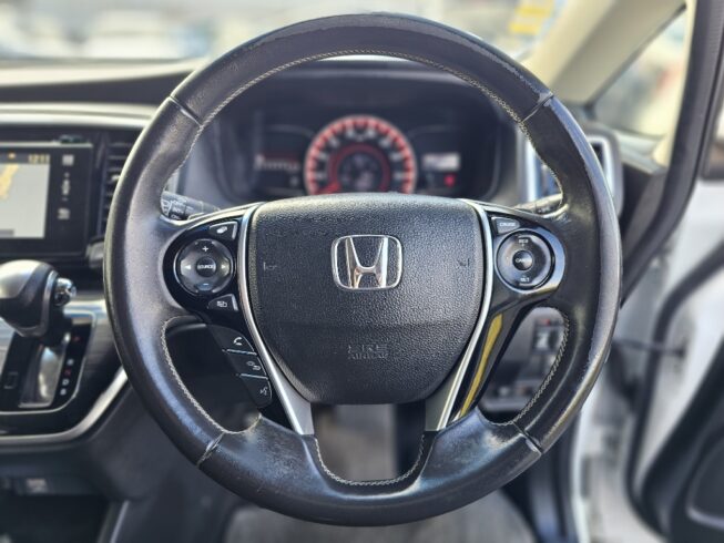 2013 Honda Odyssey Absolute image 300769