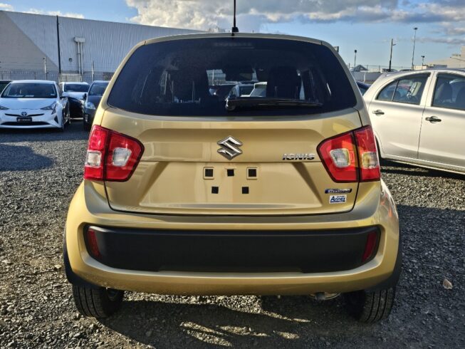 2016 Suzuki Ignis hybrid image 298254