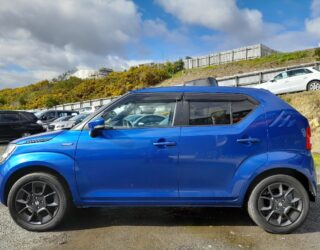2017 Suzuki Ignis Hybrid MX image 297945