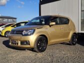 2016 Suzuki Ignis hybrid image 298251