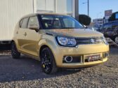 2016 Suzuki Ignis hybrid image 298252