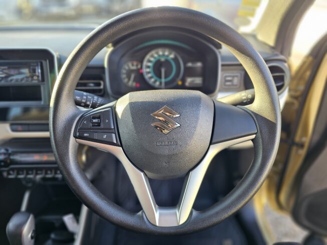 2016 Suzuki Ignis hybrid image 298259