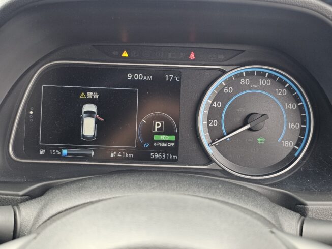 2019 Nissan Leaf X Model 87.8 SOH image 299762
