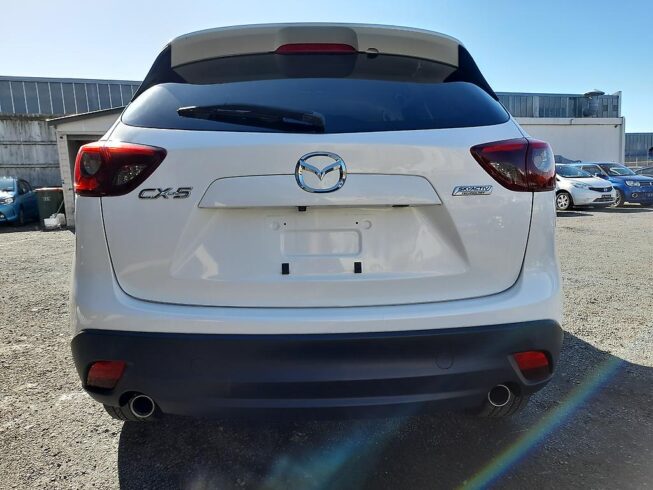 2016 Mazda Cx-5 20S image 300494
