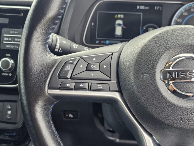 2019 Nissan Leaf X Model 87.8 SOH image 299760