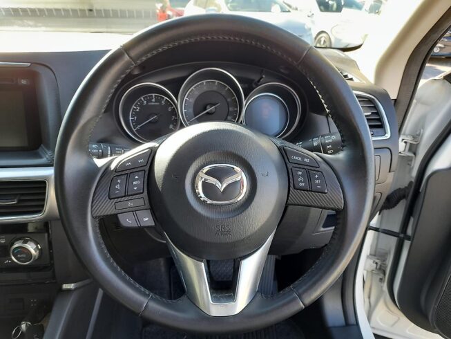 2016 Mazda Cx-5 20S image 300503