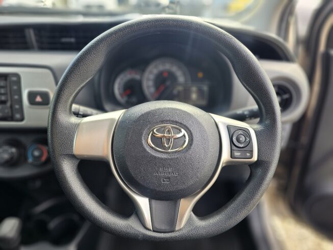 2016 Toyota Vitz F model image 299683