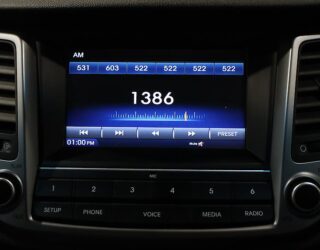 2017 Hyundai Tucson GDI ELITE 2.0P/6AT/S image 313184