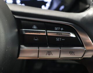 2020 Mazda Mx-30 image 320487