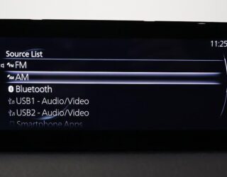 2020 Mazda Mx-30 image 320480