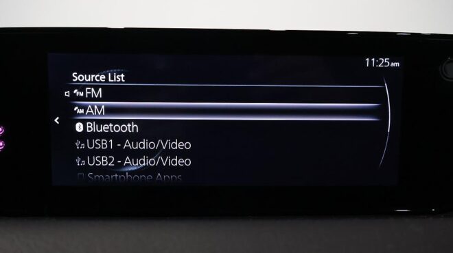 2020 Mazda Mx-30 image 320480