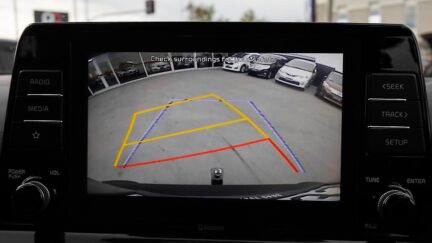 2019 Kia Seltos LX 2.0P/IV NZ NEW image 324375