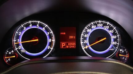 2007 Nissan Skyline image 325223