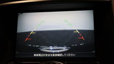 2007 Nissan Skyline image 325224