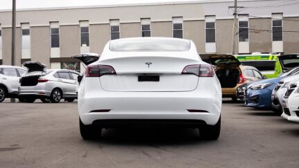 2022 Tesla Model 3 60K NZ NEW AVAILABLE NOW ! image 334275