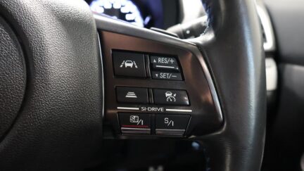 2014 Subaru Levorg image 338018