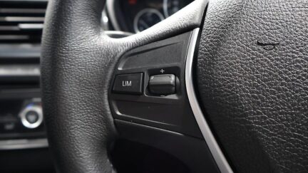 2013 BMW 320i 320i Luxury image 344490
