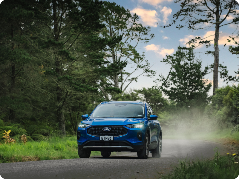 Car driving along a road in NZ with forest in the background