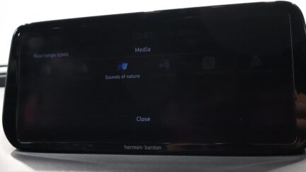 2021 Hyundai Santa Fe TM ELITE 2.5P/4WD image 361753